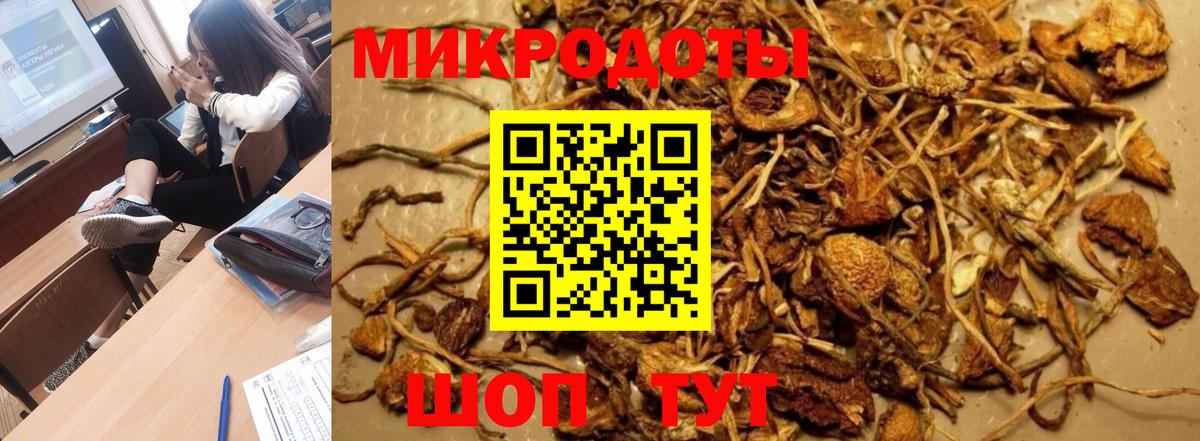 Губкин  Галлюциногенные грибы GOLDEN TEACHER  Вход с VPN 