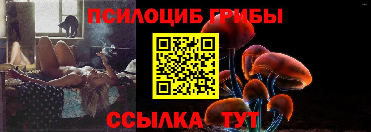 Псилоцибиновые грибы мухоморы Губкин